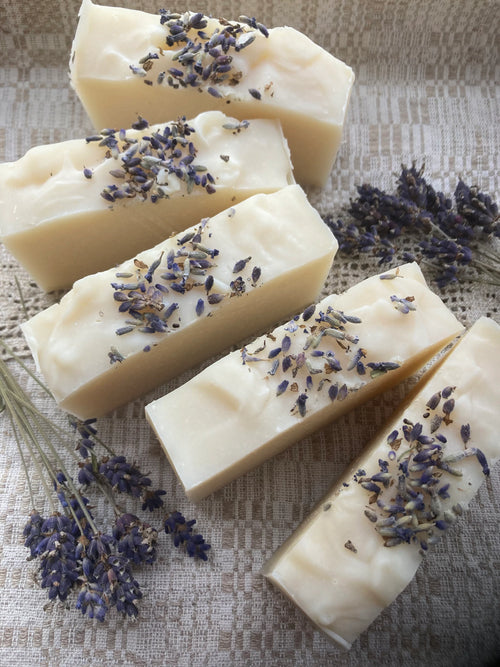 Tallow Soap Lavender Bergamot